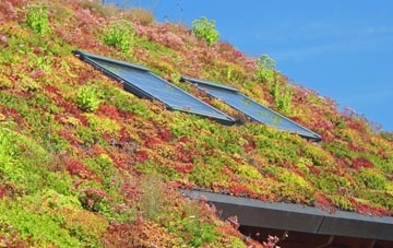 Sunnymead living roof systems